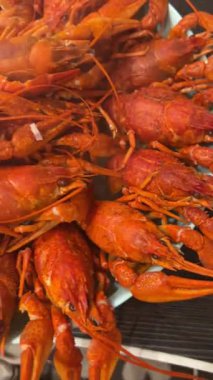 Close-up of freshly boiled red crayfish served on a plate. Delicious seafood dish, traditional cuisine, concept of gourmet meal, restaurant food and beer snack. High quality photo