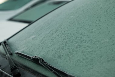 Soğuk kış sabahı sileceklerle kaplı arabanın ön camı kalın donla kaplıydı.