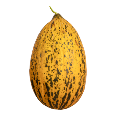 Beyaz zemin üzerinde parlak siyah lekeli kavun, Gıda, Pazar ve Tarif Kullanımı için izole.