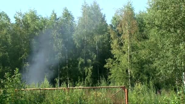 Fumaça de carro queimando sobre o campo na floresta de verão — Vídeo de Stock