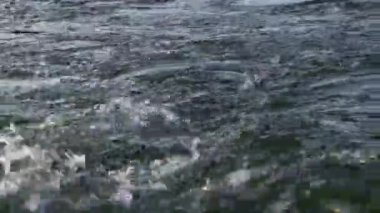 Yakın çekim yukarı tekne arkasında su sıçrama