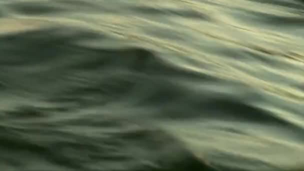 Водяные волны на озере, поверхность озера, летний закат — стоковое видео