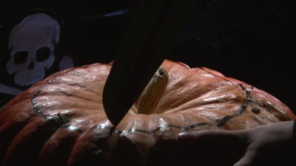 Making the first cut in Halloween pumpkin jack-o-lantern — Stock Video