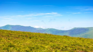 Yaz mevsiminde dağ çayırı. Güneşli bir günde yeşil alp çayırı. Mavi gökyüzünün altındaki güzel Karpat Alpleri manzarası. Tepeler ve çayırlar olan hareketli bir manzara. Ukrayna 'nın çarpıcı kırsal kesimi