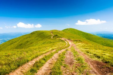 Dağ manzarasında bir patika. Yaz aylarında gezgin şehvetinin alp izleri. Mavi gökyüzünün altında yeşil Karpat Alpleri 'ne tırmanmak. Güneşli bir günde güzel bir macera geçmişi
