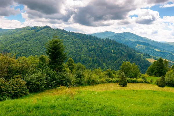 Yazın kırsal dağ. Bulutlu gökyüzü ile tepenin üstündeki tarla. Ukrayna 'nın yuvarlanan kırsal manzarasının güzel manzarası. Yeşil çimenler ve yemyeşil orman. Dramatik havada doğa manzarası 