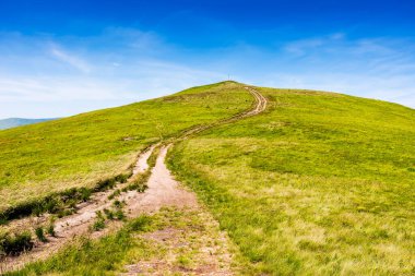 Yaz aylarında yürüyüş parkurları olan Karpatlar 'a ait bir dağ manzarası. Güneşli bir günde Borzhava sırtına giden yol. Alp çayırı derin mavi gökyüzünün altında. Ukrayna Alplerindeki güzel seyahat manzarası