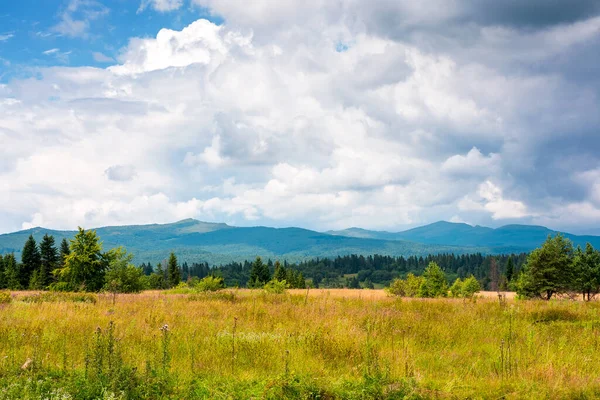 Ukrayna 'nın güzel dağlıklarında yeşil arazili kırsal alan. Tarımsal arka planda kozalaklı ormanlar ve gökyüzündeki yoğun bulutların altındaki dağlar var. Kırsal çayır