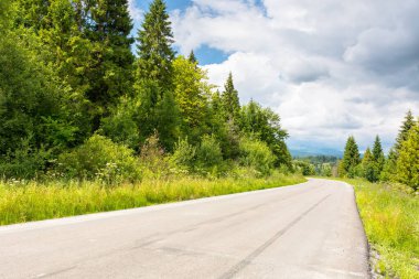 Ormanda asfalt yol. bulutlu bir günde dağ manzarası