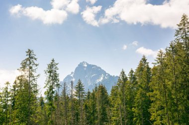 Polonya 'daki dağ manzarası. İlkbaharda gökyüzü ve bulutların altında orman ve tepe ile doğa