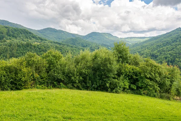 Yazın bir kırsal bölgenin dağ manzarası. Bulutlu gökyüzünün altında güzel doğa ortamı. Orman çayırın arkasındaki tepede