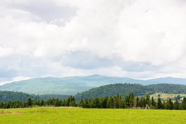 Tarlanın arkasındaki ormanla birlikte dağlardaki manzara. Bulutlu gökyüzü olan yaz doğası. kırsal arkaplan