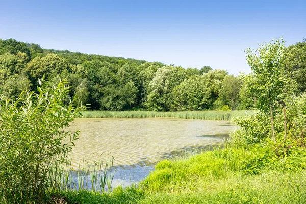 Tepedeki ormanların arasında göl olan yaz doğası. Sahilde yeşil çimenler. Balık tutmak ve bulutsuz mavi gökyüzü ile güneşli bir günde dinlenmek için kırsal alan