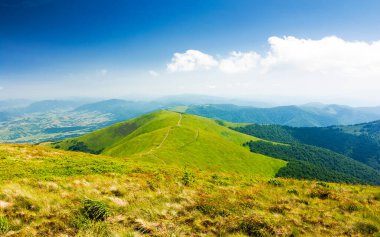 Yazın yeşil çayırları olan dağlık dağ manzarası. Güneşli bir günde uzak vadinin manzarası. Mavi gökyüzünün altındaki yuvarlanan tepelerde yemyeşil çimlerin olduğu güzel bir manzara. Ukrayna 'nın Karpat Alpleri