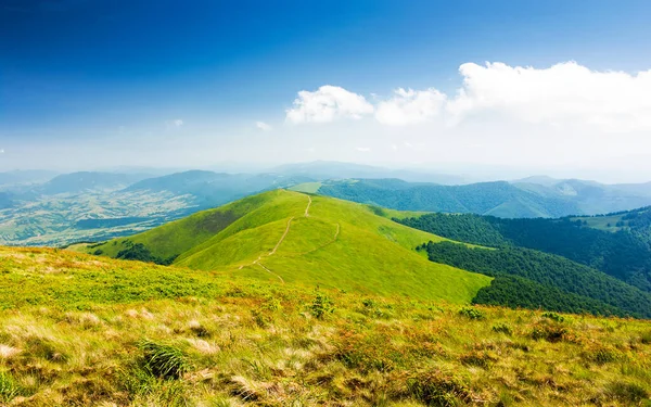 Yazın yeşil çayırları olan dağlık dağ manzarası. Güneşli bir günde uzak vadinin manzarası. Mavi gökyüzünün altındaki yuvarlanan tepelerde yemyeşil çimlerin olduğu güzel bir manzara. Ukrayna 'nın Karpat Alpleri