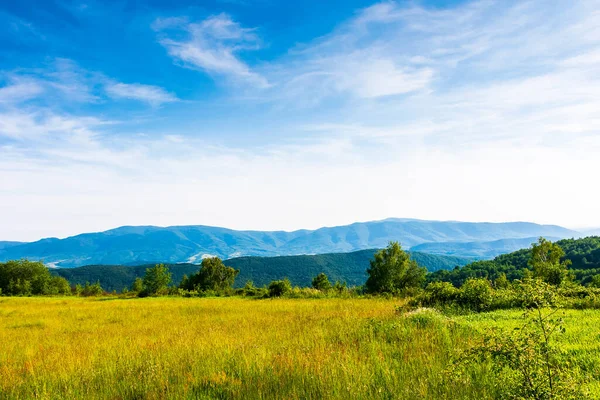 Yazın yeşil tepeleri olan güzel bir dağ manzarası. Kırsal alan güneşli bir günde. Ukrayna 'nın mavi gökyüzü manzarası. Transcarpathia 'nın Alp bölgesinin çimenli otlağı 