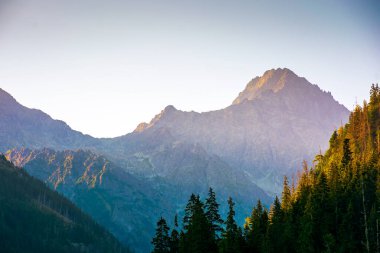 Yüksek Tatra Dağı manzarasında güzel bir gün doğumu. Mavi gökyüzünün altında el değmemiş dağlık bir orman olan ulusal park. Arka plan için manzaralı seyahat, temiz hava ve eko-turizm konsepti. telefon.