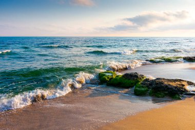 Bulgaria 'nın Karadeniz' indeki kumlu sahil. Güneşli bir günde bulutlu mavi gökyüzü. Yaz tatili geçmişi. Sozopol körfezinde taş, deniz yosunu ve sakin dalgalarla dolu güzel bir seyahat alanı.