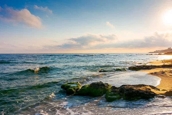 Bulgaria 'nın Karadeniz' indeki kumlu sahil. Güneşli bir günde bulutlu mavi gökyüzü. Yaz tatili geçmişi. Sozopol körfezinde taş, deniz yosunu ve sakin dalgalarla dolu güzel bir seyahat alanı.
