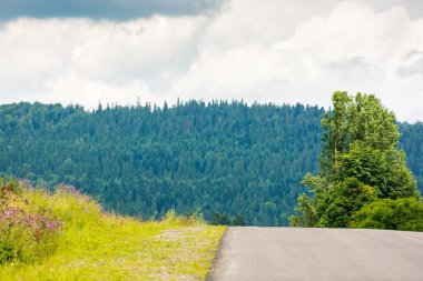 Tepenin yukarısında düz asfalt köy yolu. Manzaralı tarım arazilerine yolculuk. bulutlu gökyüzü