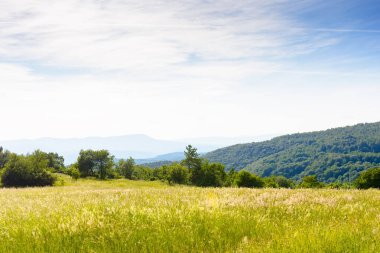 Akşam, dağlarda çimen tarlası olan yaz manzarası. Transcarpathia 'nın kırsal manzarası, Ukrayna manzaralı uzak sırt manzaralı mavi gökyüzünün altında, kabarık bulutlu hoş bir atmosfer.
