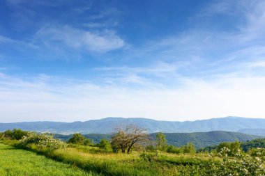 Yazın dağ manzarasında bir tarla. Gün batımında mavi gökyüzünün altındaki yeşil Karpat Alpleri 'nin güzel manzarası. Yuvarlanan tepeler ve çayırlar ile görkemli kır manzarası