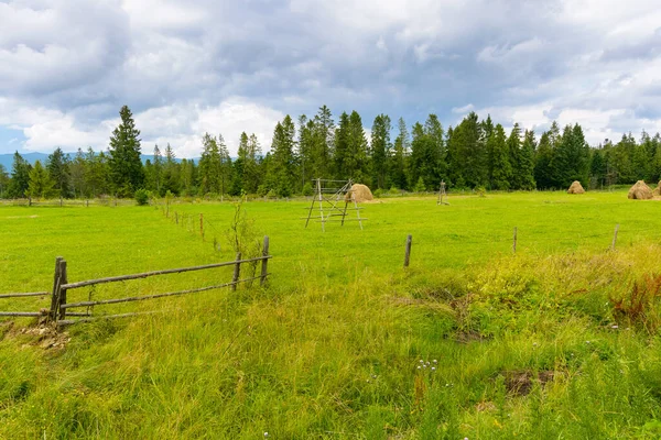 Ormanın yakınındaki kırsal saman tarlası. Ahşap çitin arkasındaki yeşil çimenler. Yazın dramatik bulutlu hava. lviv bölgesinin organik tarım arazisi. yeşil ortam