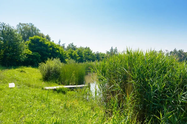 Gölde balık tutmak için ahşap iskele. Yaz tatilinde su rezervinin yanında. Sahilde yeşil çimenler ve tepede orman olan bir manzara. Güneşli bir günde mavi gökyüzü. Sabahları sakin bir manzara