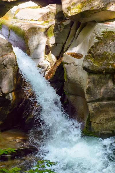 Yazın ormandaki kayaların arasından şelale. Turychka Nehri 'ndeki Davir Şelalesi ile güzel bir doğa manzarası. Vahşi su akıntısının keşfi. Avrupa kayın ağacında açık hava macerası