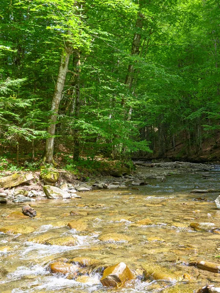 Ormandaki nehir. Kayalarla dolu güzel bir arka plan. Güneşli bir günde akan su akıntısı ile yaz manzarası. Ağaçlardaki yemyeşil yapraklar.