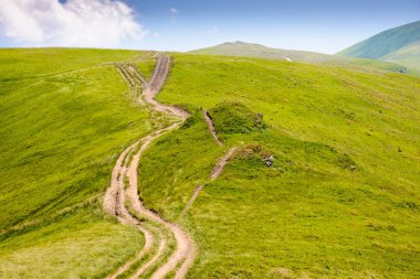 Dağ sırtı manzarası boyunca patika. Ukrayna 'nın yaz yolculuğu geçmişi. Güneşli bir günde çimenli, yuvarlanan tepeli güzel doğa manzarası
