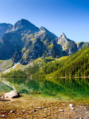 alpine landscape with lake in summer. beautiful poland nature in high tatra mountains for travel. blue sky. scenery reflection in transparent pond water