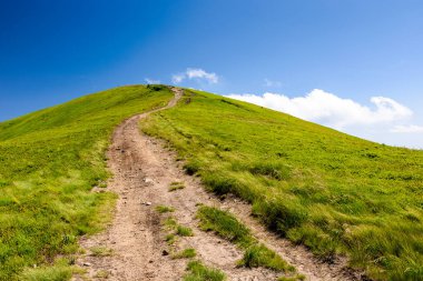 mountain trail to the top of the summit. summer travel landscape under deep blue sky with fluffy clouds. sunny weather. borzhava ridge of transcarpathia, ukraine
