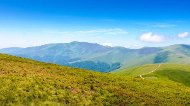 Yaz mevsiminde dağ çayırı. Güneşli bir günde yeşil alp çayırı. Mavi gökyüzünün altındaki güzel Karpat Alpleri manzarası. Tepeler ve çayırlar olan hareketli bir manzara. Ukrayna 'nın çarpıcı kırsal kesimi