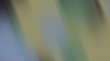 Abstract background with blended green yellow and blue hues. Perfect as a vibrant backdrop for websites, social media posts, or graphic designs.