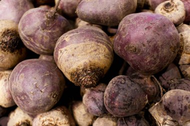 Pek çok taze toplanmış organik pancar canlı mor deri ve topraksı doku sergiliyor, sağlıklı besin maddeleri ve zengin bir besin kaynağı sunuyor.