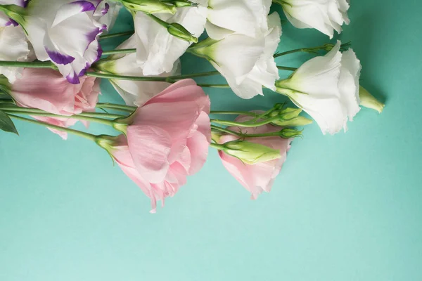 Hafif turkuaz arka planda beyaz Eustoma çiçekleri. Lisianthus, lale Gentian buketi. Tasarım için kopyalama alanı olan şablon