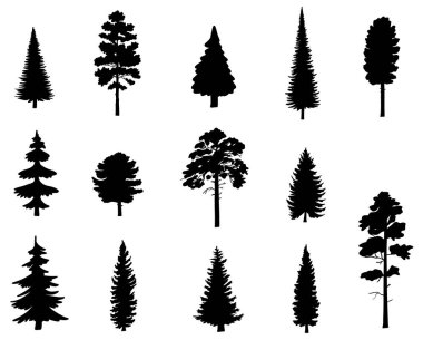 Noel ağacı siyah silueti çizimi vektör çizimi. Yeni yıl tasarım elementi, kozalaklı her zaman yeşil ağaçları ayarla