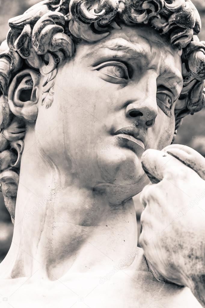 Head of Michelangelo's David 