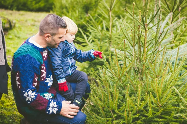 Papá e hijo eligen el árbol de Navidad — Foto de Stock