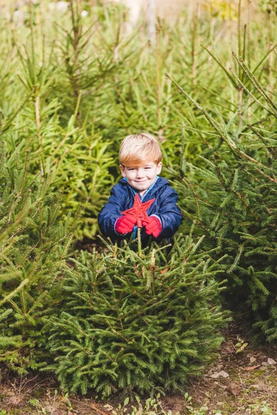 Niño decorando pino árbol para Navidad — Foto de Stock