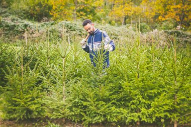 Adam ağaç Noel için seçme