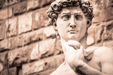 Michelangelo'nun David portre