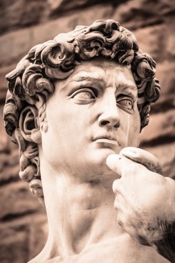 Michelangelo'nun David portre