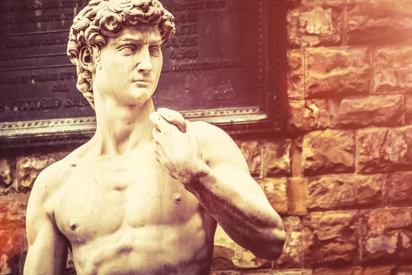 Michelangelo'nun David portre — Stok fotoğraf