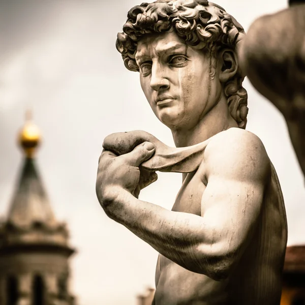 Michelangelo'nun David Statue Duomo Kilisesi — Stok fotoğraf