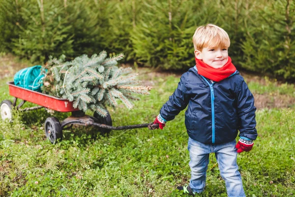 Carrello di trazione bambino con albero di abete — Foto Stock