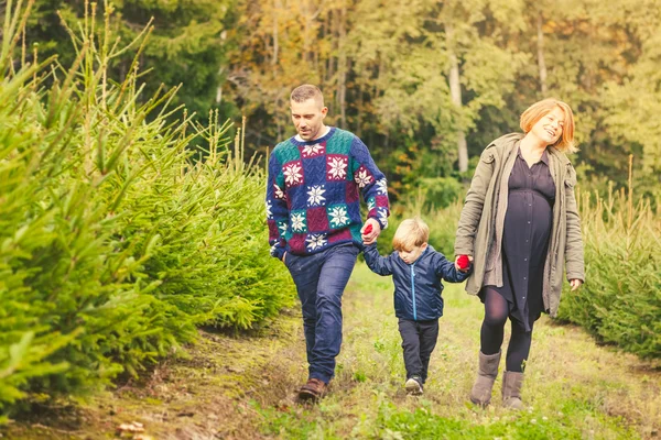 Famiglia Scegliere l'albero di Natale in Fattoria — Foto Stock