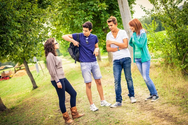 Adolescentes falando sobre o futuro plano para o dia — Fotografia de Stock