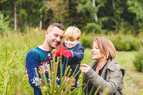 Familia decoración abeto al aire libre — Foto de Stock